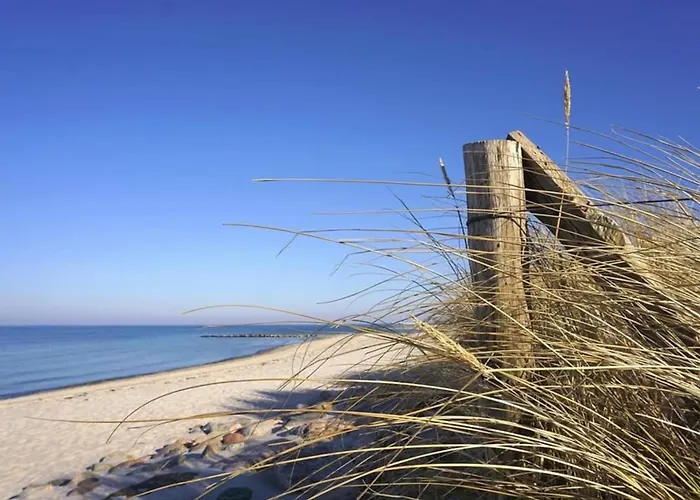 Kutscherwohnung דירה *